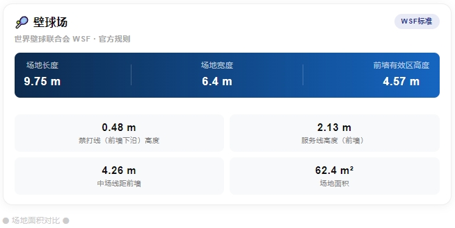 探球体育官方网站图片